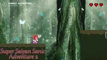 Super Saiyan Sanic Adventure 2 Affiche