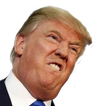 StumpTheTrump