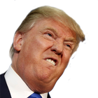 StumpTheTrump icon