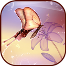 Beautiful Butterfly Wallpapers APK