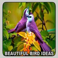 Beautiful Bird Ideas Poster