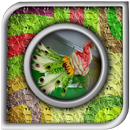 Décoration de fruits APK