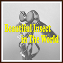 Beautiful Insect In The World APK