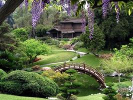 Beau jardin japonais capture d'écran 1