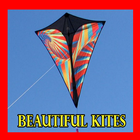 Beautiful Kites icône