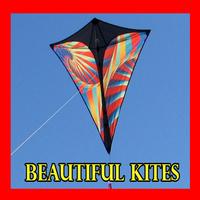 Beautiful Kites Affiche