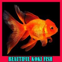 Beautiful Koki Fish Gallery Affiche
