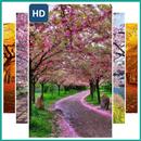 Beautiful Tree Landscape Wallpaper aplikacja