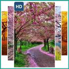 Beautiful Tree Landscape Wallpaper ไอคอน