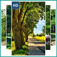 Beautiful Tree Landscape Wallpaper โปสเตอร์