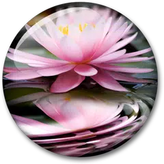 Beautiful Live Wallpaper APK download