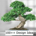 Beautifull Bonsai Design Idea