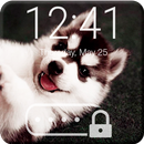 Husky Wallpaper Little Dog Puppy Cute App Lock-APK