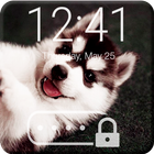 Husky Wallpaper Little Dog Puppy Cute App Lock icône