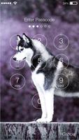 Husky Wallpaper Little Dog Puppy Cute App Lock screenshot 1