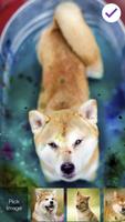 Shiba Inu Dog Cute Puppy Wallpaper Screen Lock capture d'écran 2