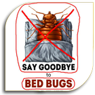 Bed Bugs - Pest icône