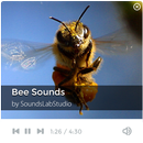 Bee Sounds APK