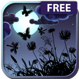 Night Nature HD [FREE]