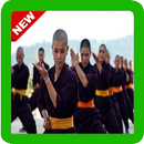 Techniques d'apprentissage du kung-fu APK