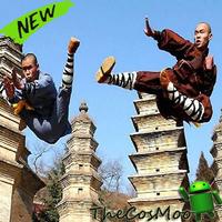 Способы обучения Кунг-фу быстро постер