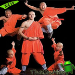 Best Basic Shaolin Training
