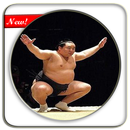 Learn basic sumo techniques APK