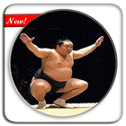 ikon Belajar teknik dasar sumo