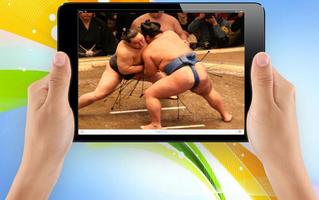 Belajar teknik dasar sumo screenshot 2