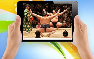 Learn basic sumo techniques capture d'écran 3