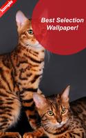 Bengal Cat Wallpaper HD - Fanny screenshot 1