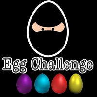 Egg Challenge Cartaz