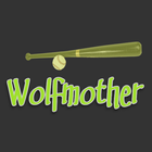 The Best of Wolfmother أيقونة