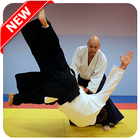 Best Aikido Technique icône