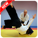 APK Best Aikido Technique