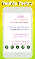Pashto Poetry تصوير الشاشة 1