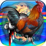 Rooster Sound Free icône