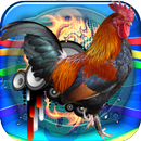 Rooster Sound Free APK