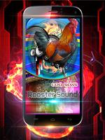 Rooster Sound Free Affiche