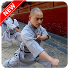 Best Chinese Martial Arts আইকন