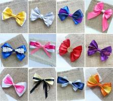 Best DIY Hair Bows screenshot 3