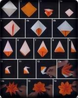 Best DIY Origami Projects Screenshot 1