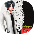 Anime Wallpeprs HD icono