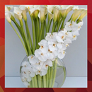 100 Best Flower Arrangement Ideas APK