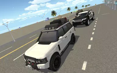 Real Police City Car Chase APK download