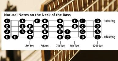Best Learn Bass For Beginners পোস্টার
