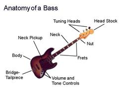 Best Learn Bass For Beginners capture d'écran 1