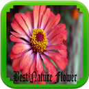 Best Nature Flawer APK