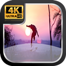 Best Skateboard Wallpaper HD APK