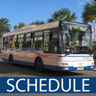 Bermuda Bus Schedule أيقونة